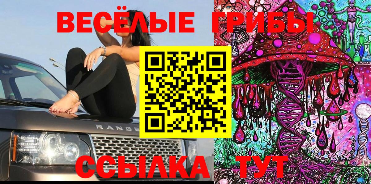 Каспийск  Псилоцибиновые грибы MAGIC MUSHROOMS  Вход с VPN 